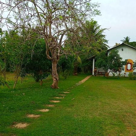 Hideaway Homestay Habarana Bagian luar foto