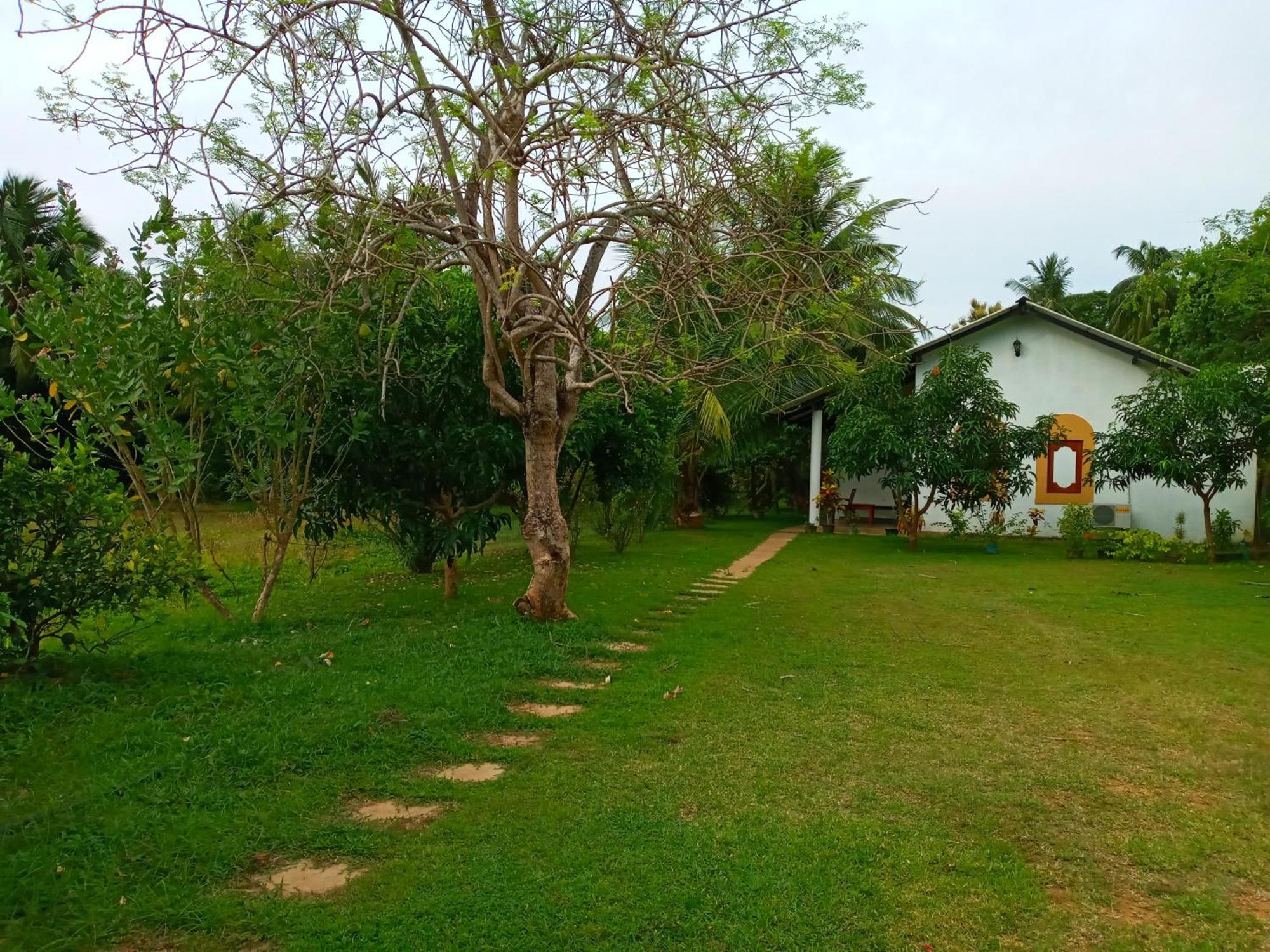 Hideaway Homestay Habarana Bagian luar foto