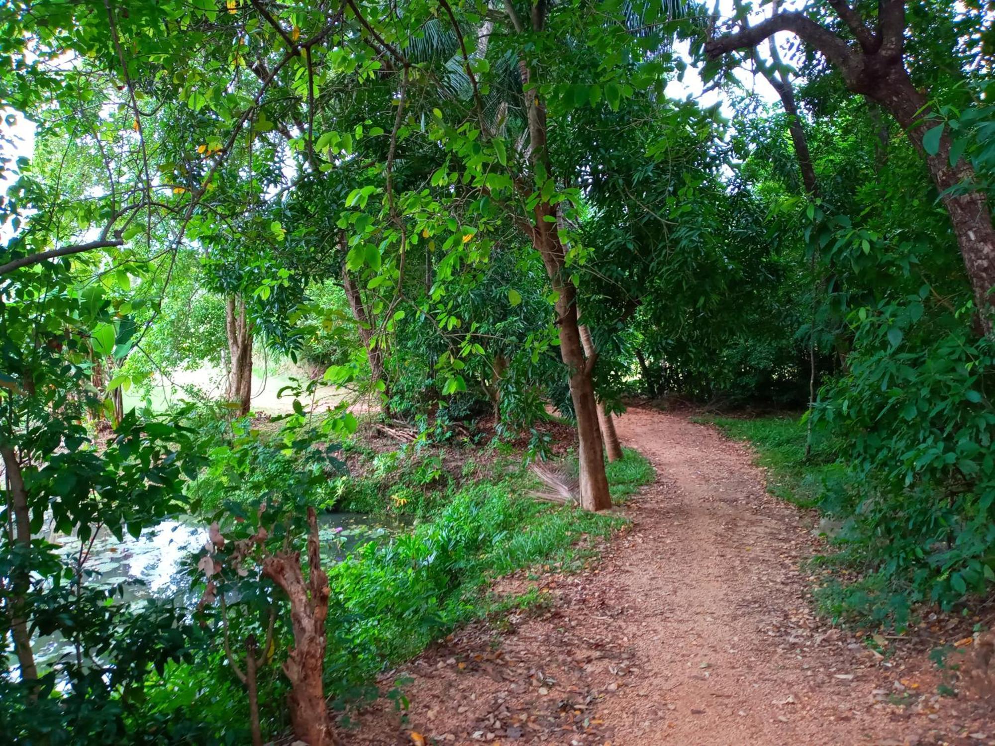 Hideaway Homestay Habarana Bagian luar foto