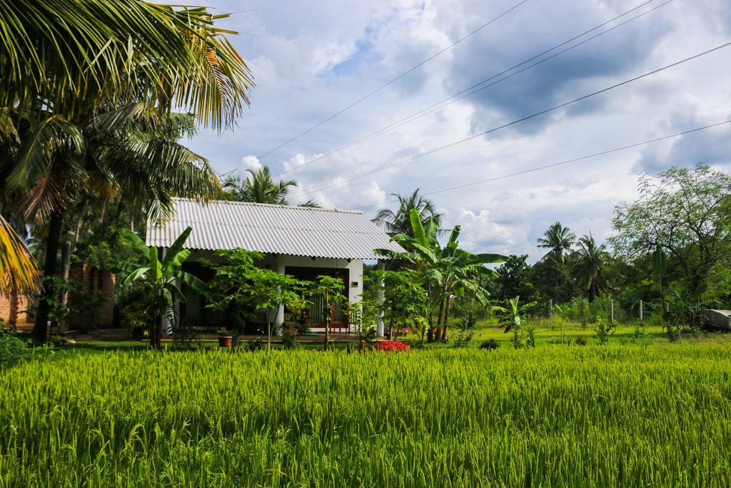 Hideaway Homestay Habarana Bagian luar foto