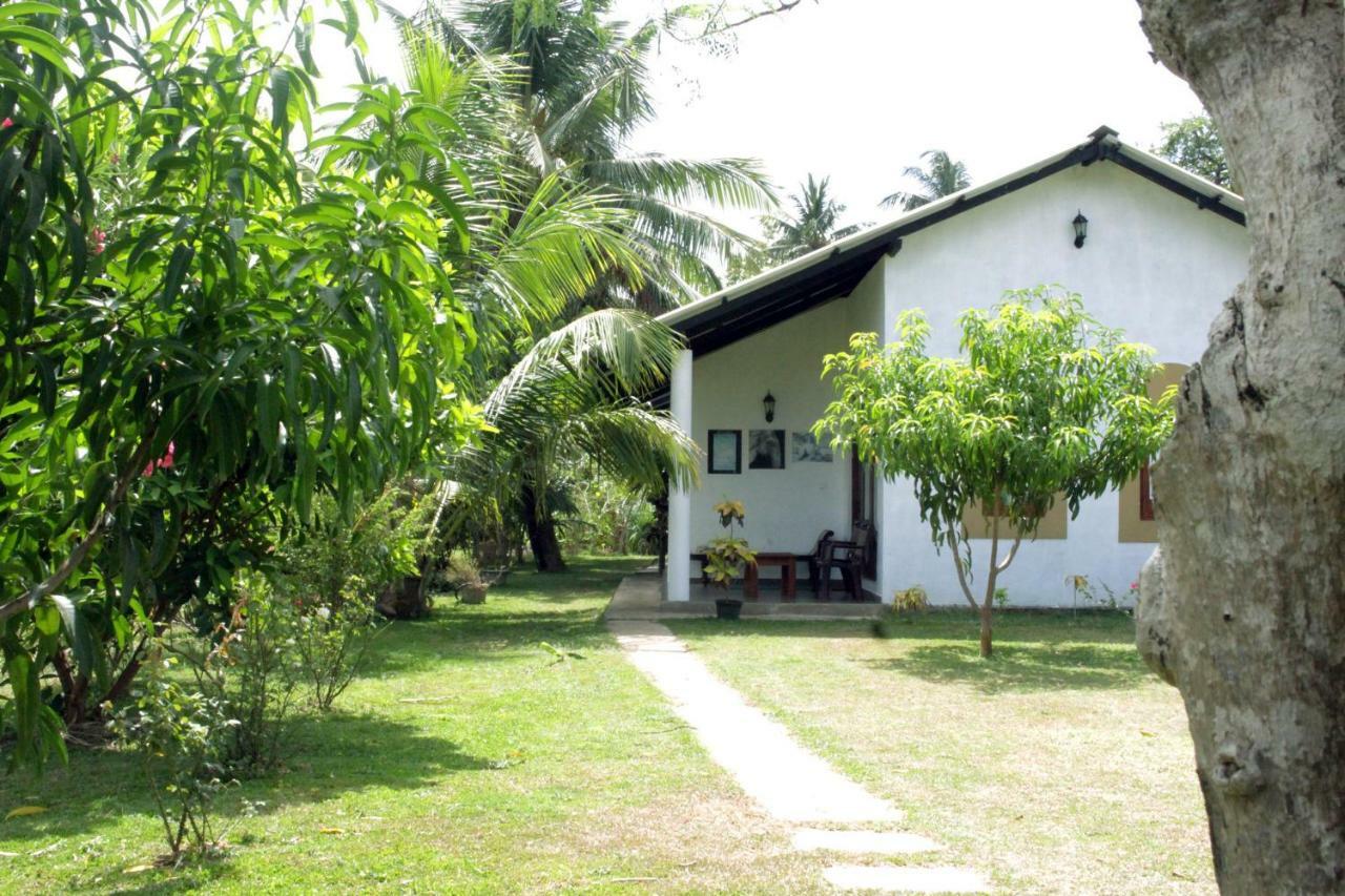 Hideaway Homestay Habarana Bagian luar foto